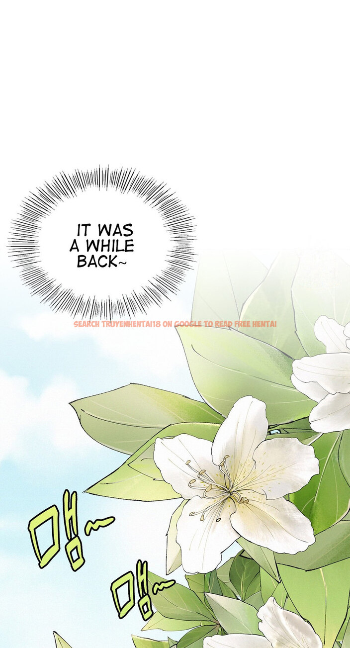 Read Hentai Image 29 351 in comic Staying With Ajumma - Chapter 17 - hentaitnt.net