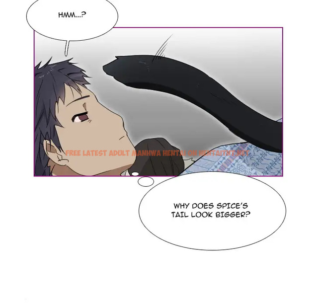 Read Hentai Image 27 497 in comic Sugar ‘N Spice - Chapter 1 - hentaitnt.net