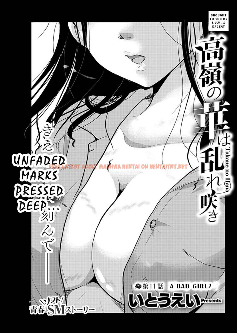 Read Hentai Image 2 b7fa8 in comic Takane No Hana Wa Midaresaki - Chapter 11 - hentaitnt.net