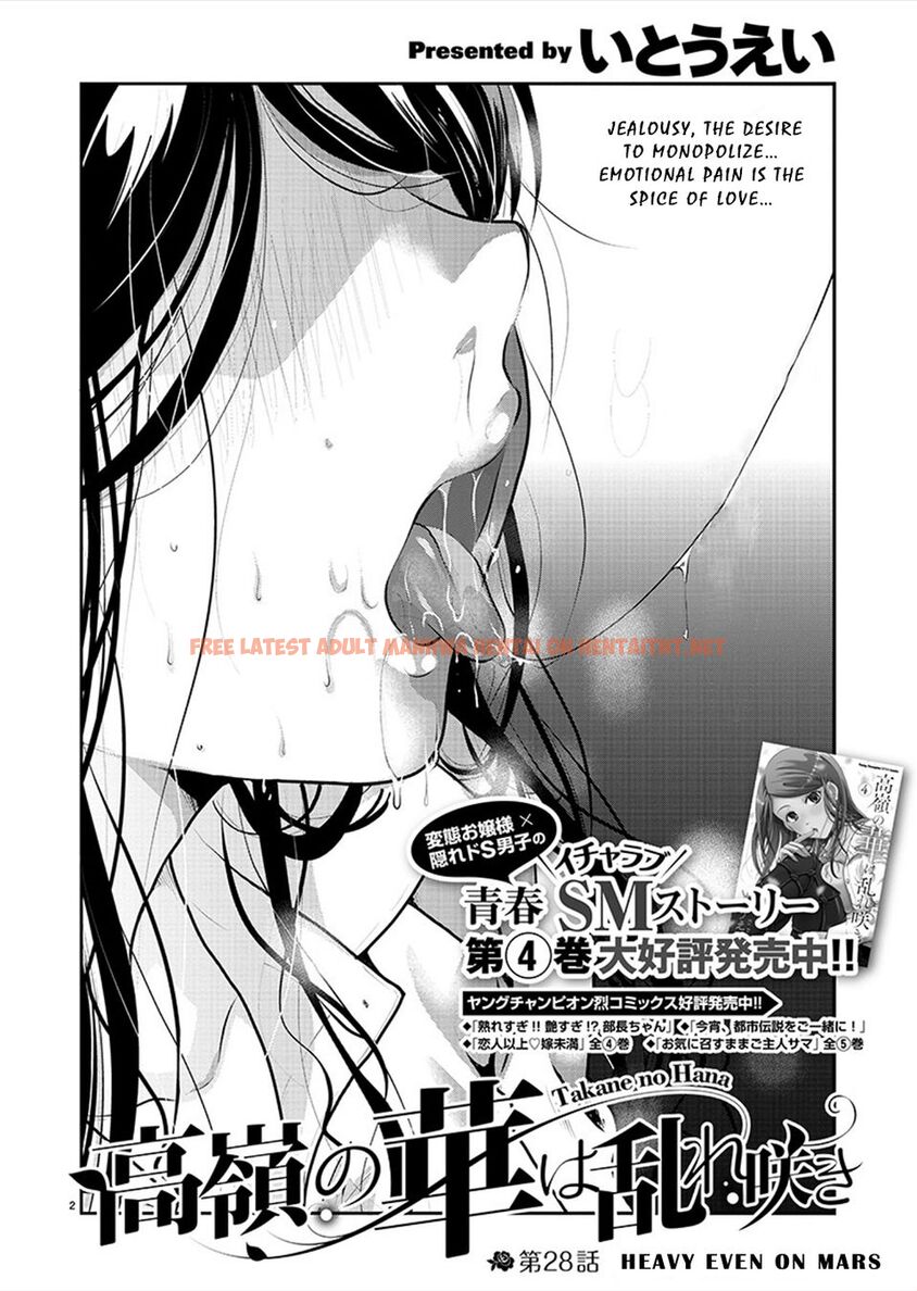 Read Hentai Image 2 fa0f2 in comic Takane No Hana Wa Midaresaki - Chapter 28 - hentaitnt.net