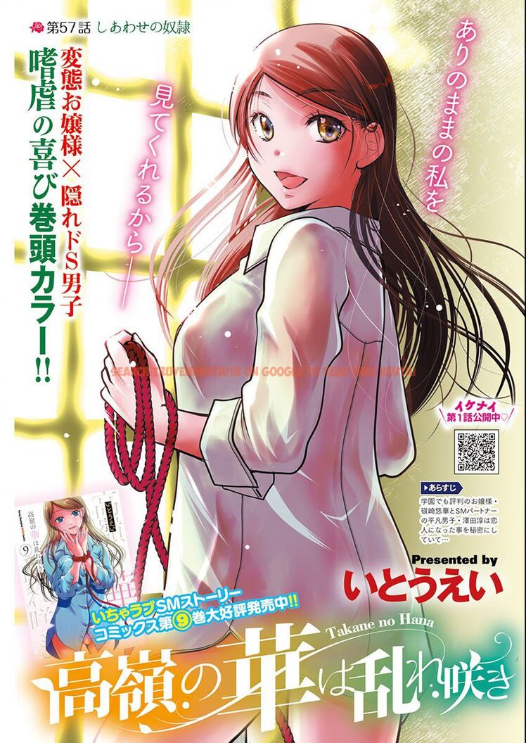 Read Hentai Image 1 9669d in comic Takane No Hana Wa Midaresaki - Chapter 57 - hentaitnt.net