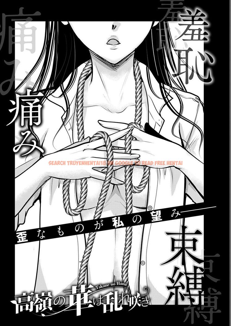 Read Hentai Image 4 79953 in comic Takane No Hana Wa Midaresaki - Chapter 62 - hentaitnt.net
