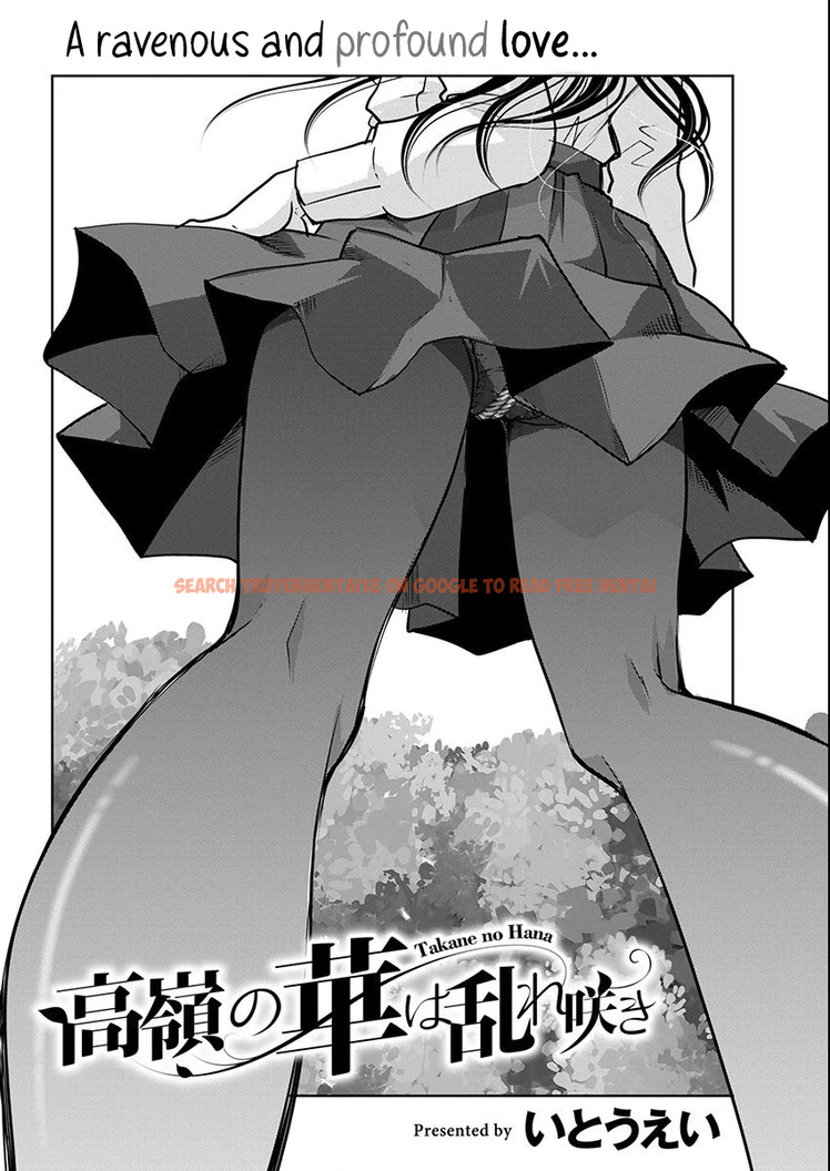 Read Hentai Image 4 116ea in comic Takane No Hana Wa Midaresaki - Chapter 66 - hentaitnt.net