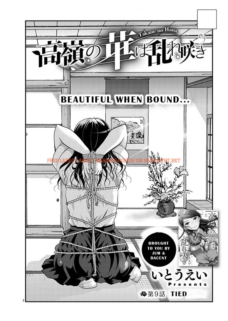 Read Hentai Image 2 d4e3a in comic Takane No Hana Wa Midaresaki - Chapter 9 - hentaitnt.net