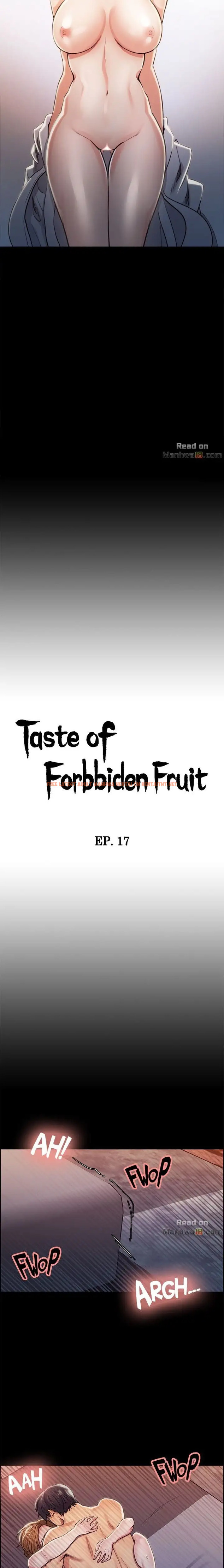 Read Hentai Image 2 329 in comic Taste Of Forbbiden Fruit - Chapter 17 - hentaitnt.net