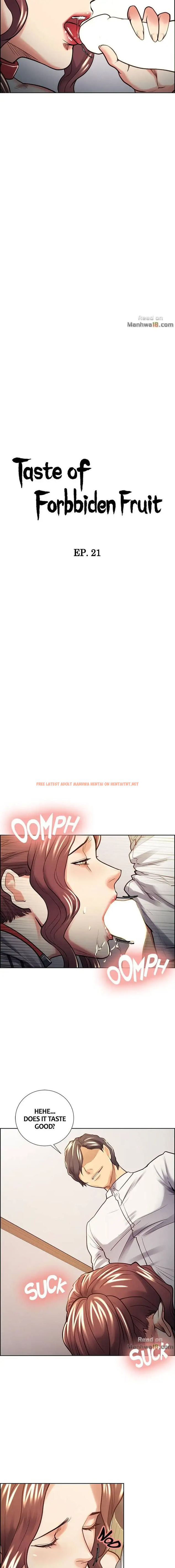 Read Hentai Image 2 325 in comic Taste Of Forbbiden Fruit - Chapter 21 - hentaitnt.net