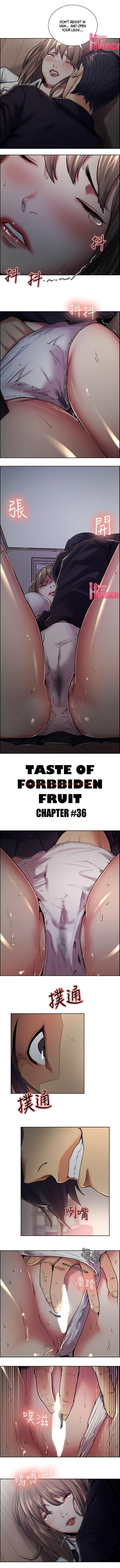 Read Hentai Image 1 317 in comic Taste Of Forbbiden Fruit - Chapter 36 - hentaitnt.net