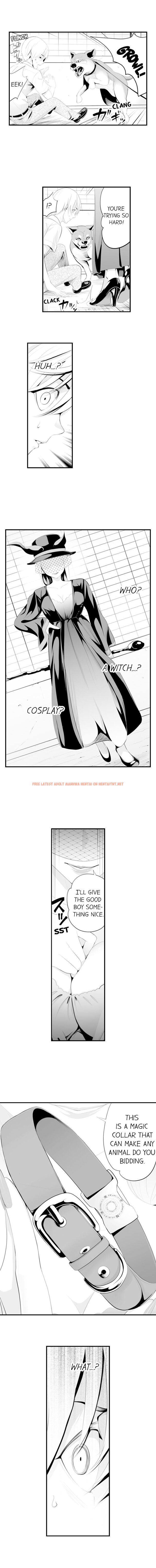 Read Hentai Image 4 203 in comic The Collar Of Submission - Chapter 1 - hentaitnt.net