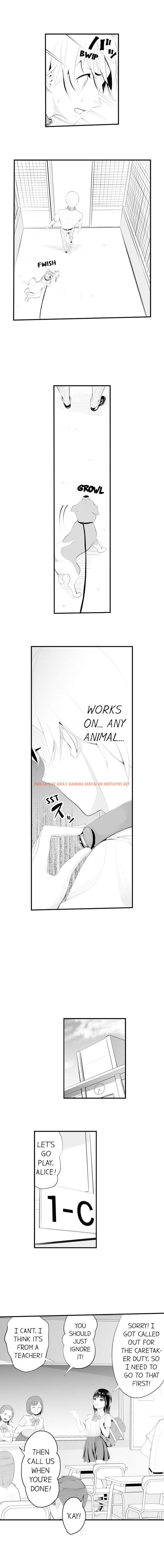 Read Hentai Image 6 203 in comic The Collar Of Submission - Chapter 1 - hentaitnt.net