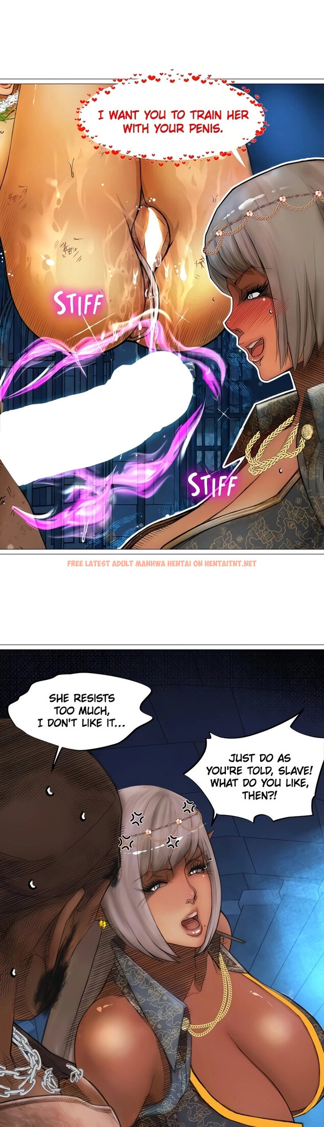 Read Hentai Image 16 717 in comic The Dark Elf Queen And The Slave Orc - Chapter 25 - hentaitnt.net