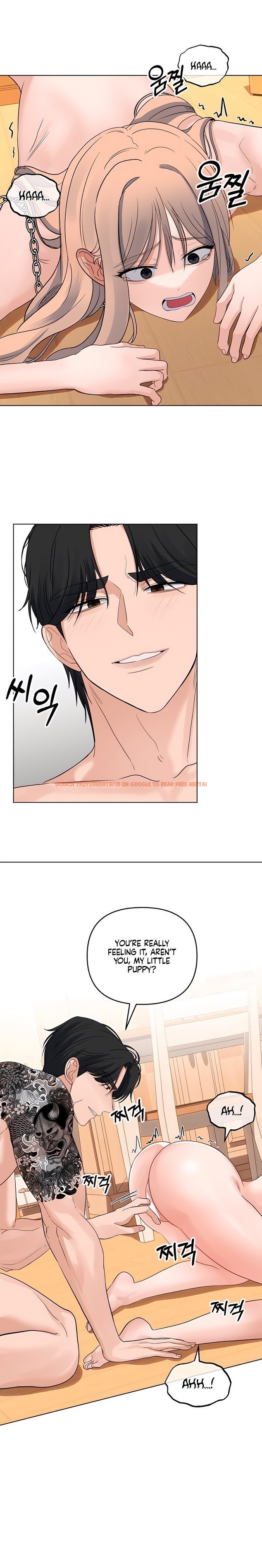 Read Hentai Image 6 04737 in comic The Man Next Door’s Dog - Chapter 11 - hentaitnt.net