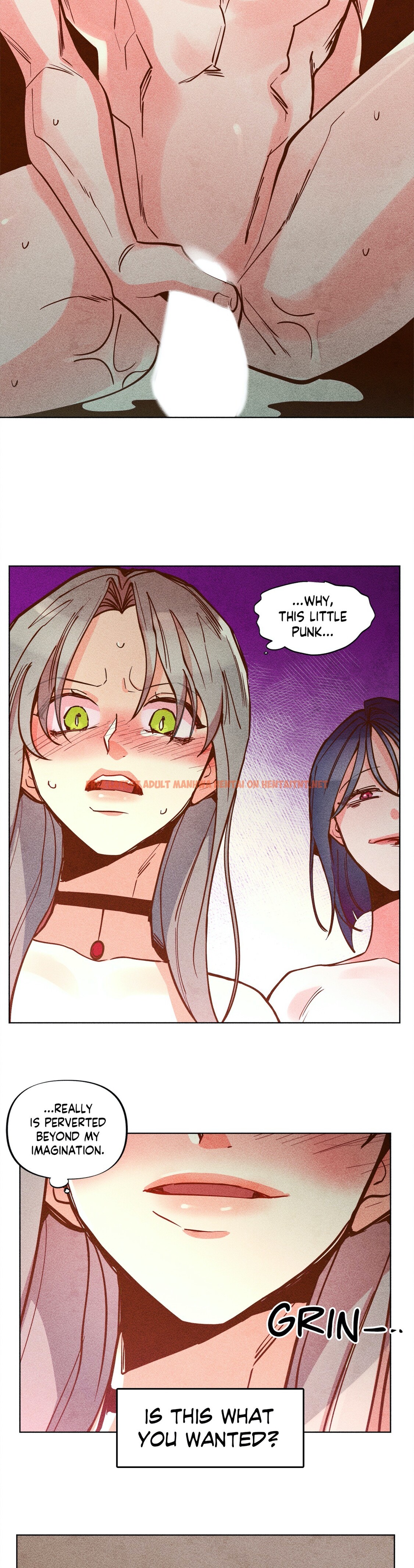 Read Hentai Image 17 153 in comic The Virgin Witch - Chapter 46 - hentaitnt.net