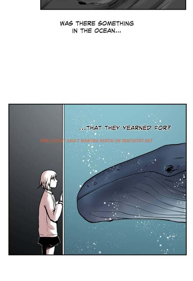 Read Hentai Image 13 582 in comic The Whale - Chapter 1 - hentaitnt.net