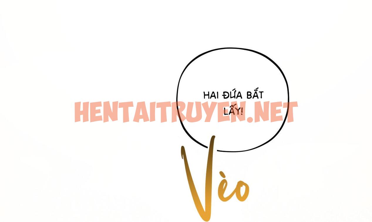 Xem ảnh Tình Cờ Thật?! - Chap 8 - img_037_1684140067 - TruyenVN.APP