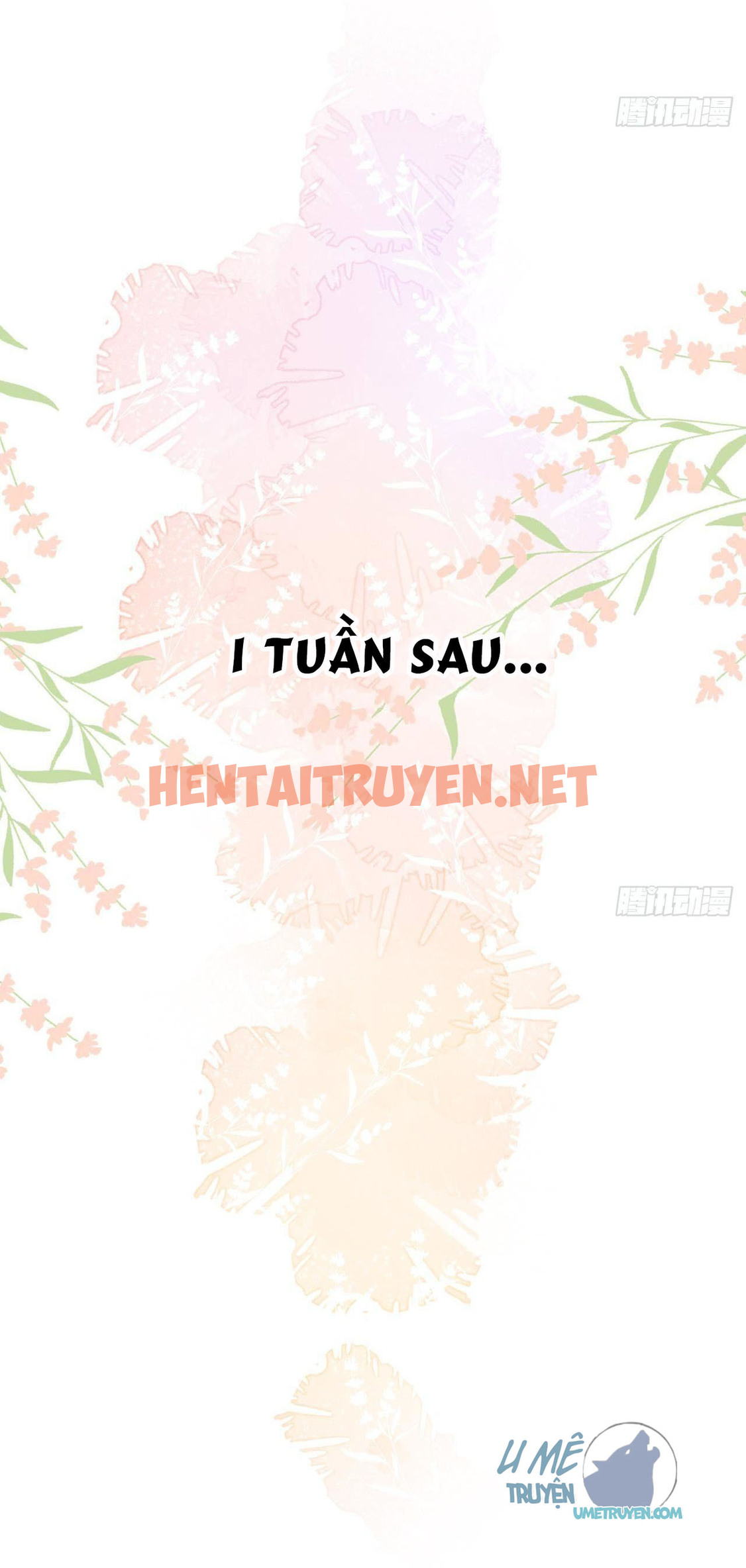 Xem ảnh Tình Yêu Mạng Ngọt Ngào Lật Xe Rồi! - Chap 16 - img_015_1630137695 - TruyenVN.APP