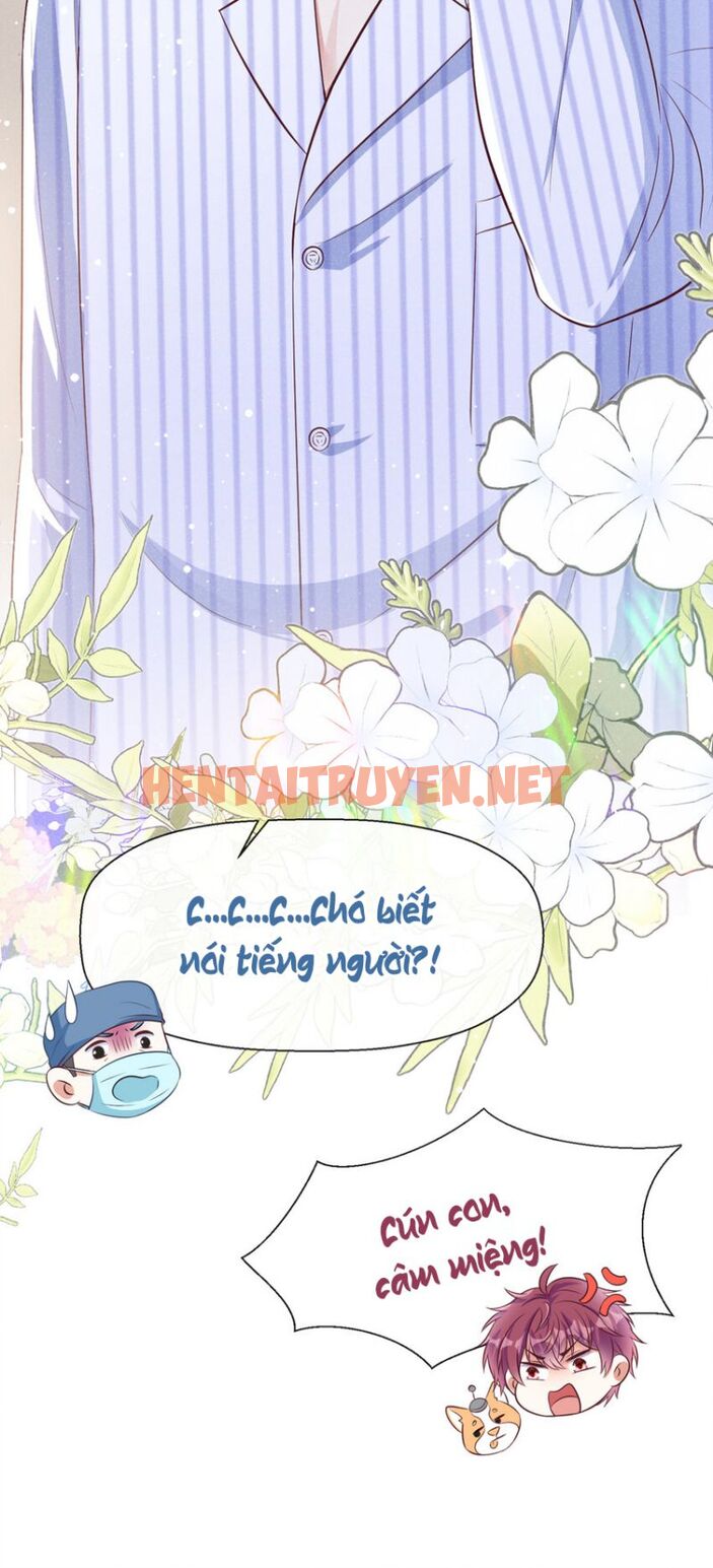 Xem ảnh Tôi Với Hình Mẫu Lý Tưởng Lìa Trần Rồi! - Chap 49 - img_030_1665817574 - TruyenVN.APP