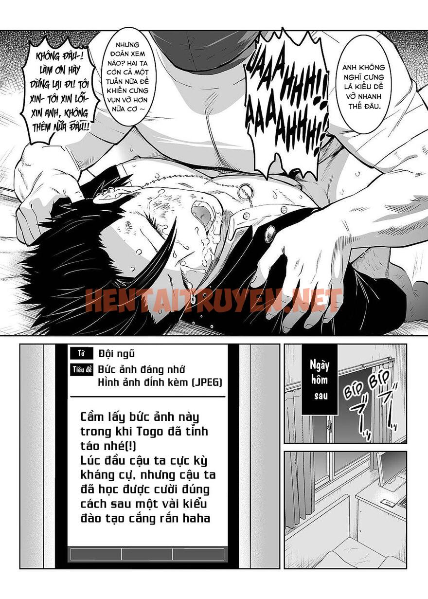 Xem ảnh Tổng Hợp Oneshot Rape - Chap 143 - img_020_1700662053 - HentaiTruyen.net