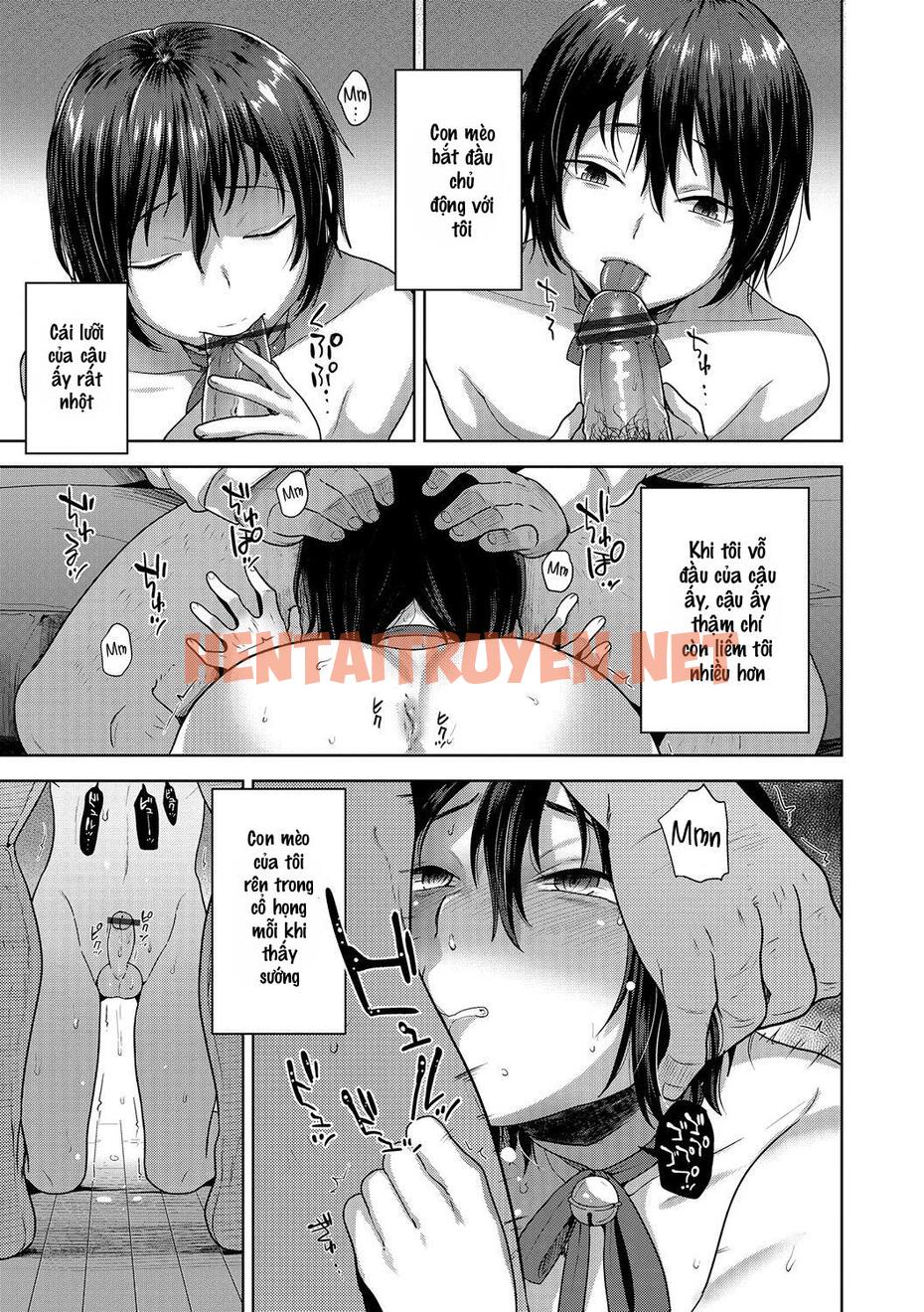 Xem ảnh Tổng Hợp Oneshot Rape - Chap 96 - img_010_1684156331 - HentaiTruyen.net