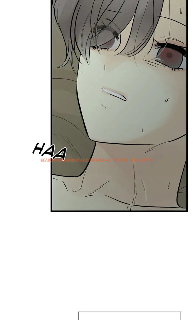 Read Hentai Image 2 672 in comic Totem Realm - Chapter 79 - hentaitnt.net