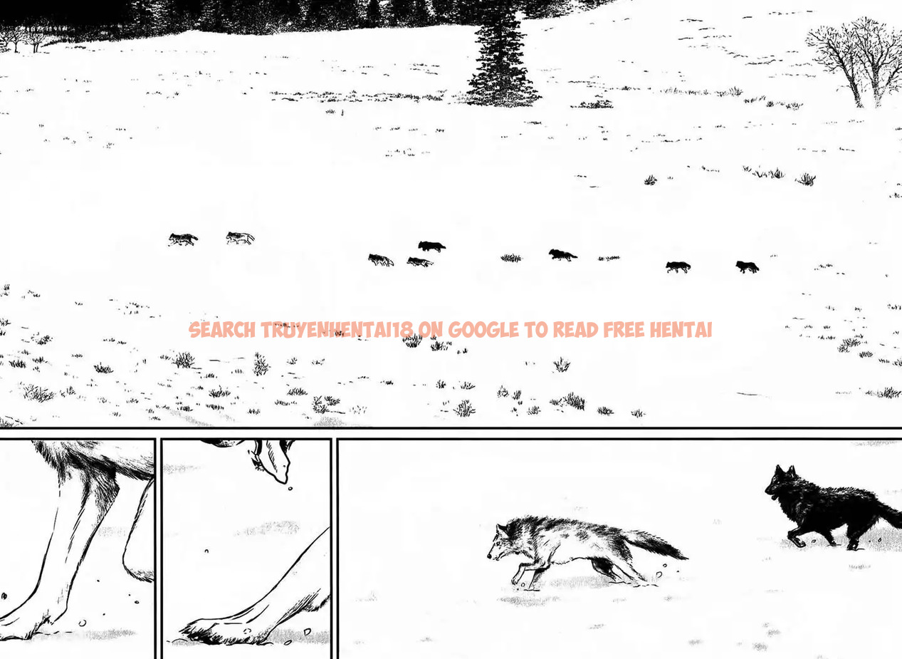 Read Hentai Image 17 538 in comic Wolf Guy: Ookami No Monshou - Chapter 115 - hentaitnt.net