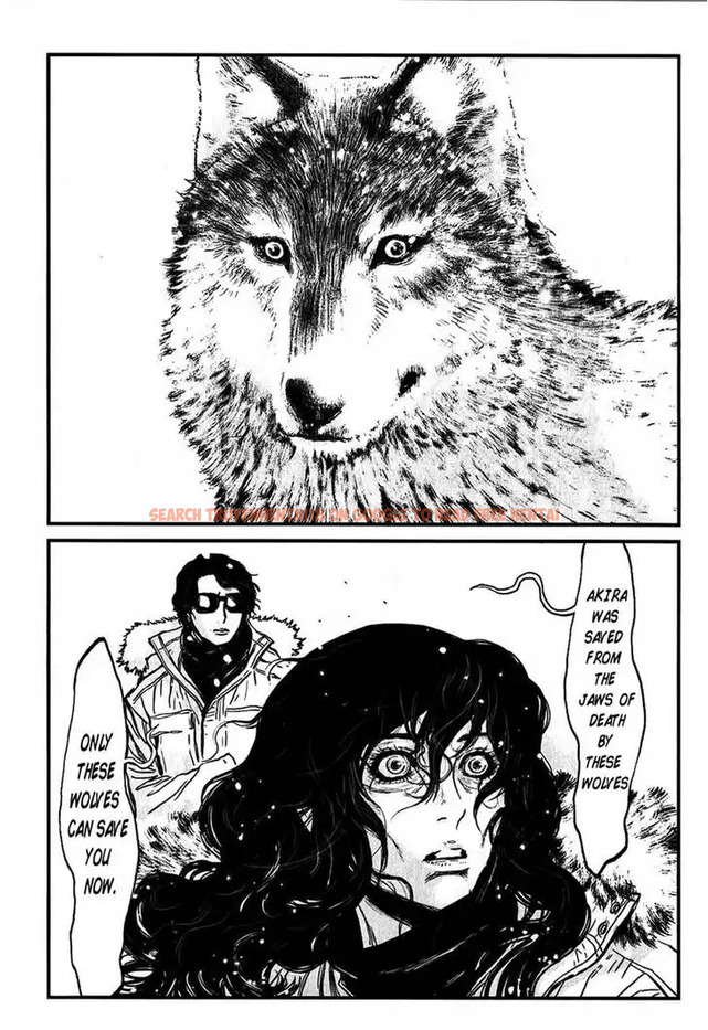 Read Hentai Image 18 538 in comic Wolf Guy: Ookami No Monshou - Chapter 115 - hentaitnt.net