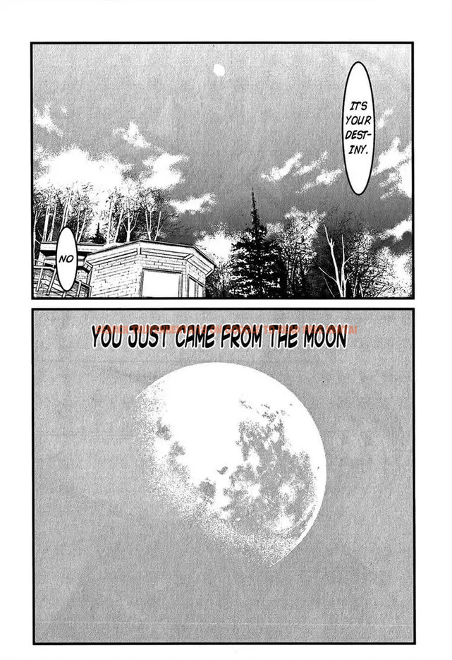 Read Hentai Image 18 537 in comic Wolf Guy: Ookami No Monshou - Chapter 116 - hentaitnt.net