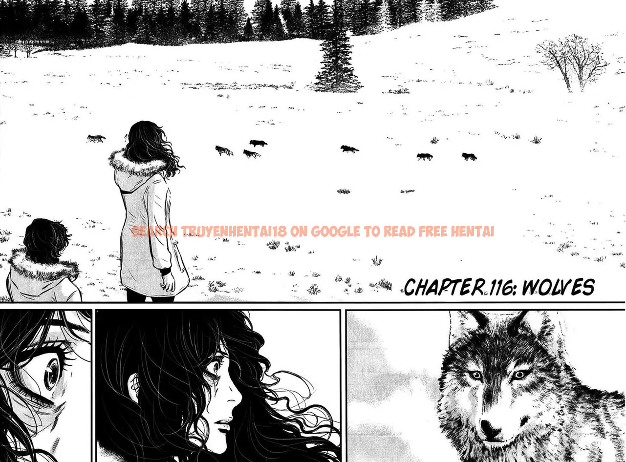 Read Hentai Image 2 535 in comic Wolf Guy: Ookami No Monshou - Chapter 116 - hentaitnt.net