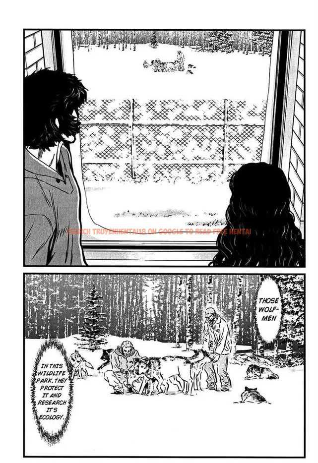 Read Hentai Image 5 535 in comic Wolf Guy: Ookami No Monshou - Chapter 116 - hentaitnt.net