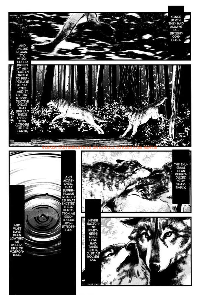 Read Hentai Image 12 578 in comic Wolf Guy: Ookami No Monshou - Chapter 49 - hentaitnt.net