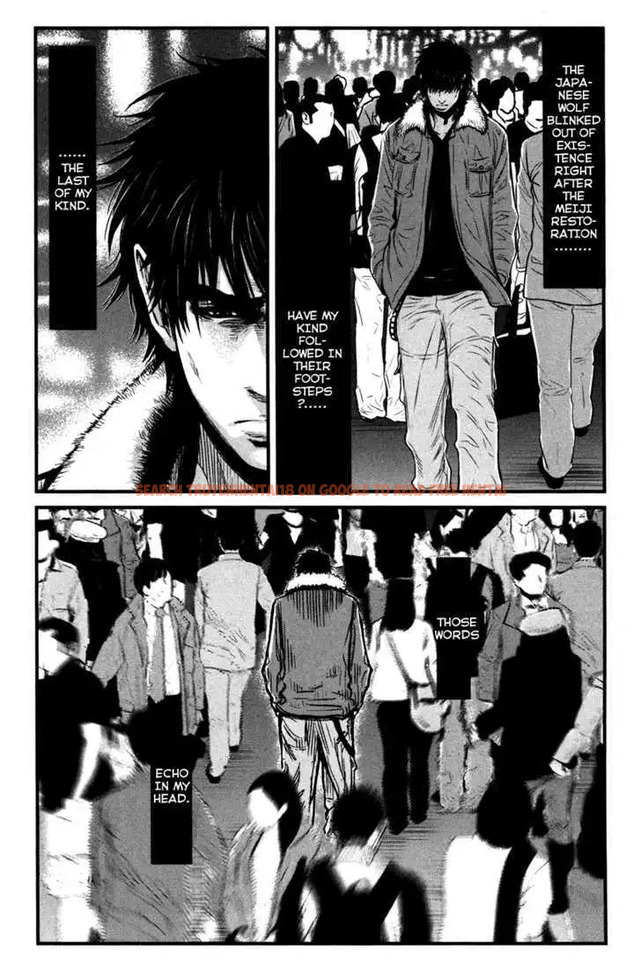 Read Hentai Image 15 578 in comic Wolf Guy: Ookami No Monshou - Chapter 49 - hentaitnt.net