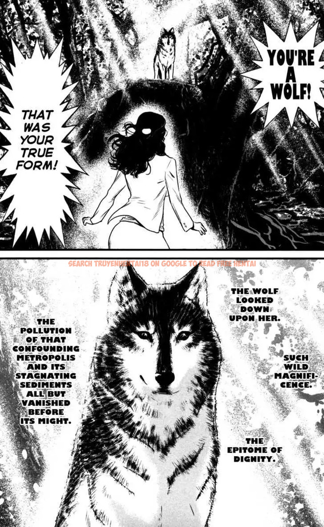 Read Hentai Image 8 578 in comic Wolf Guy: Ookami No Monshou - Chapter 50 - hentaitnt.net