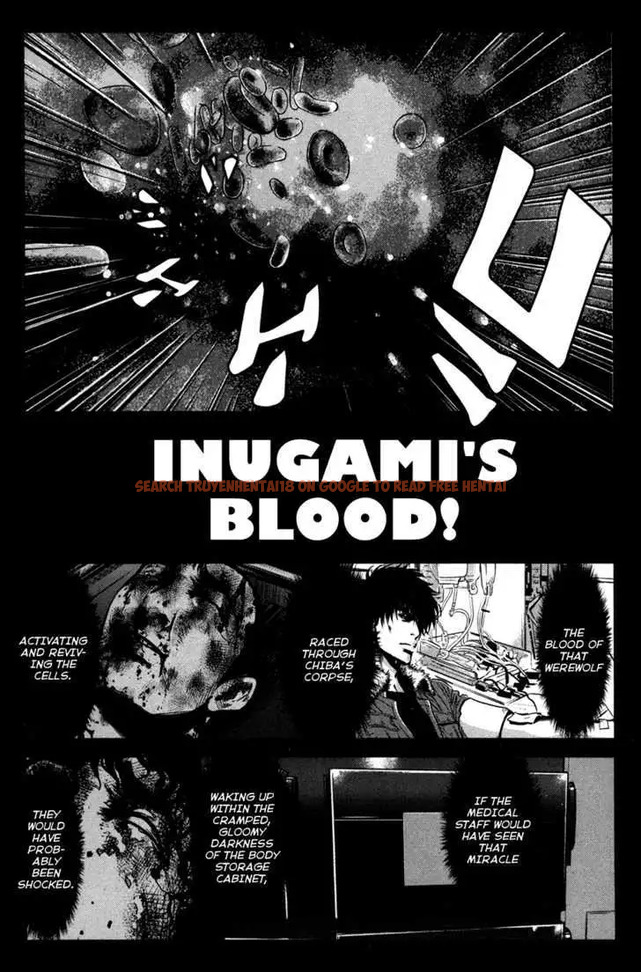 Read Hentai Image 17 572 in comic Wolf Guy: Ookami No Monshou - Chapter 58 - hentaitnt.net