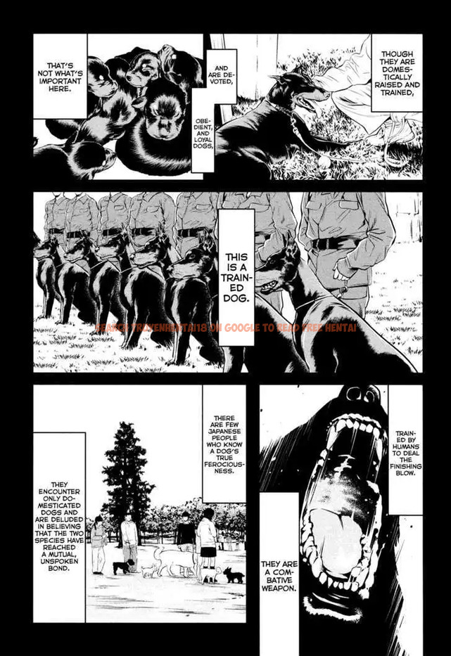 Read Hentai Image 7 553 in comic Wolf Guy: Ookami No Monshou - Chapter 89 - hentaitnt.net
